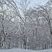 Киев, Зима в Протасовом Яру / Kiev, Winter in the Park of Protasov Yar