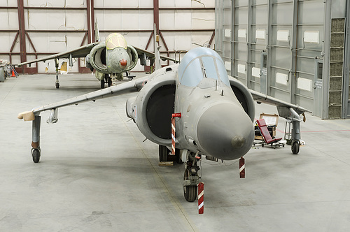 British Aerospace Sea Harrier FA.2 ZH810 and Harrier GR.5 ZD353