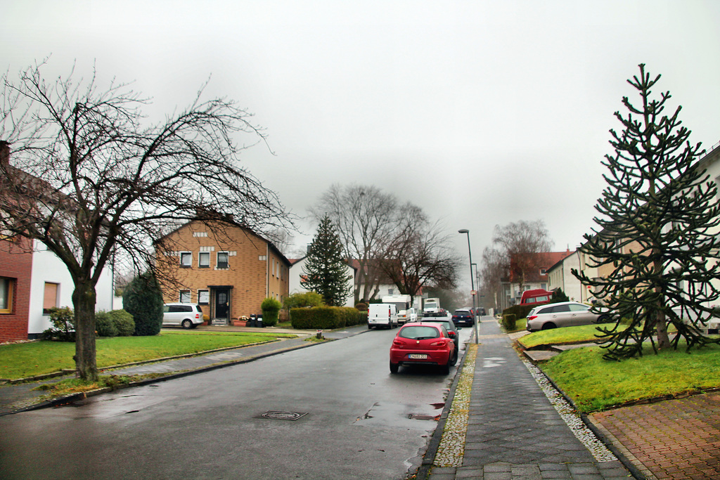 Centrumstraße (Wattenscheid) / 18.12.2021