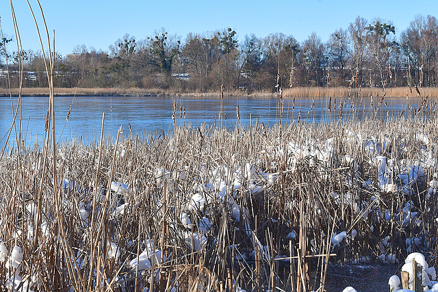 Winterstimmung