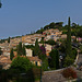 Bormes les Mimosas