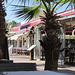 Typical beachside shops and restaurants