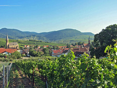 Weinort Birkweiler in der Südpfalz