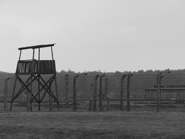 Auschwitz (29) - 19 September 2015