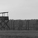 Auschwitz (29) - 19 September 2015