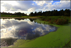 Green Beach