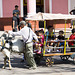 Goat cart, Santa Clara, Cuba