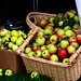 Baskets of Apples
