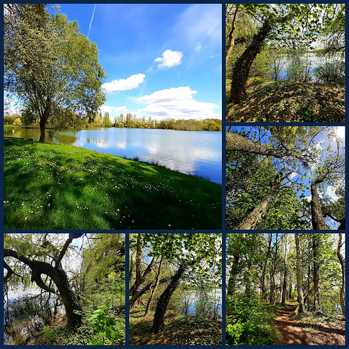 Zenitude au bord de l'étang