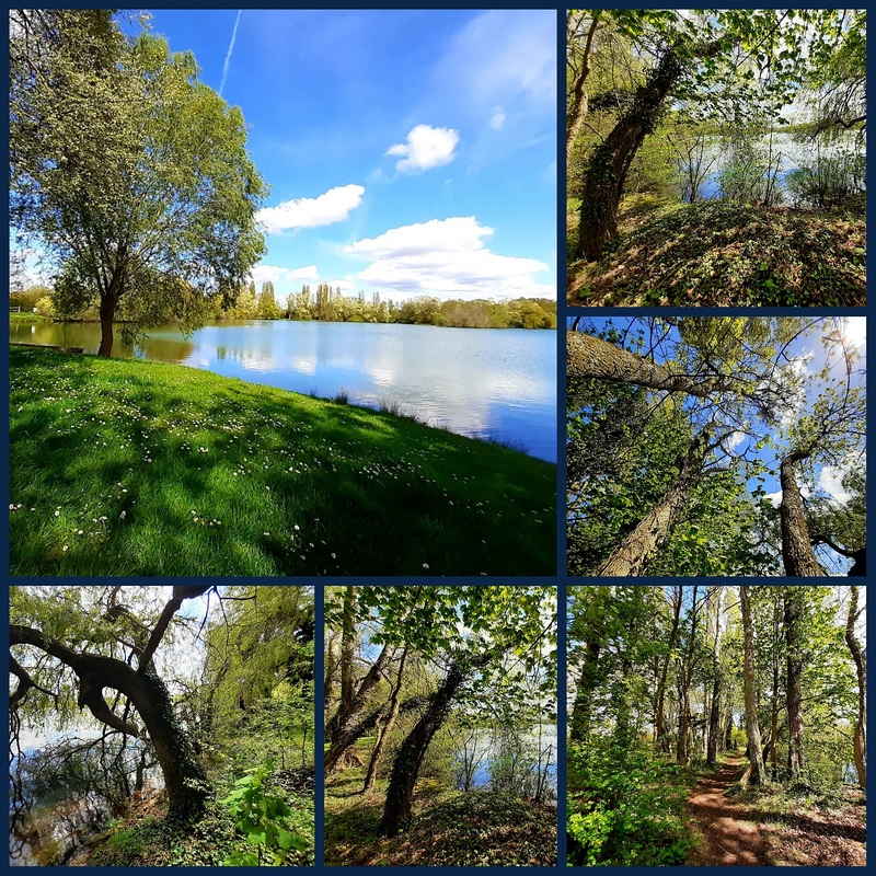 Zenitude au bord de l'étang