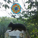 oaw[rsq] - visit : 14June2026  {17 of 18}