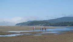 Netarts Bay, OR shellfishing (#1156)