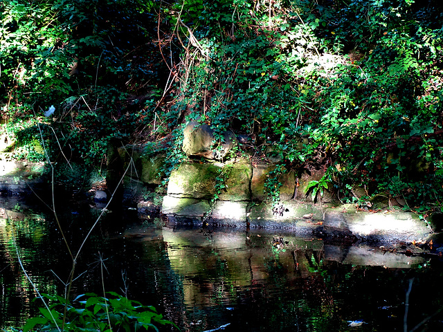 A Wall, light, dappled and shade.