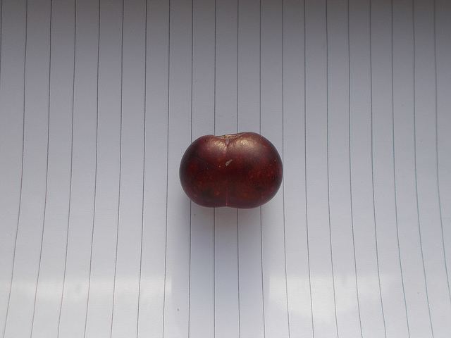 O&S[W] - grape {1 of 3}