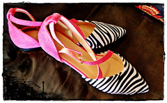 The new shoes
