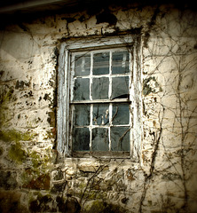 The Pane of Dereliction