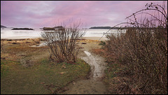 Near Tofino, BC