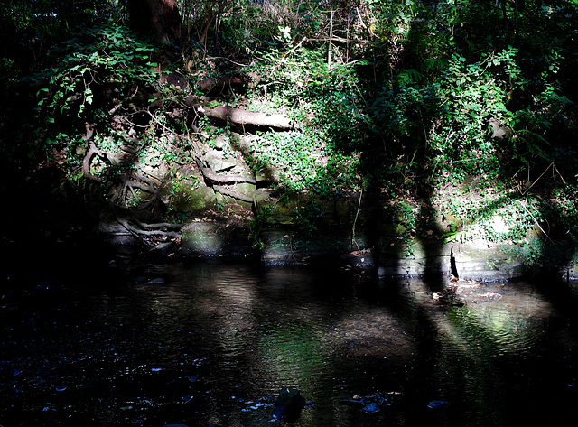 A Wall, light, dappled and shade.