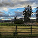 Los Alpes, farm, Cajamarca, HFF