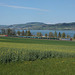 BÖ0014662