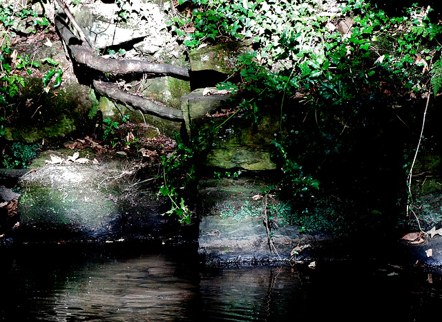 A Wall, light, dappled and shade.