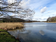 Blickling Lake