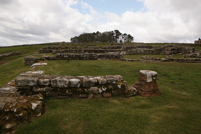 Housesteads Fort