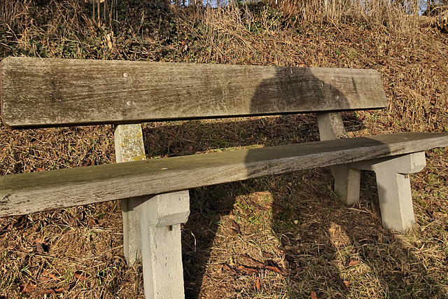 Happy Don't-lose-your-head-selfie-bench Monday - IA