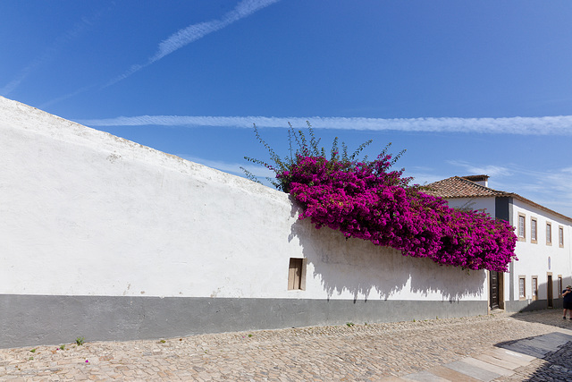 Óbidos, Portugal HWW