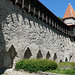 HWW von der alten Stadtmauer Tallinn (PiP)