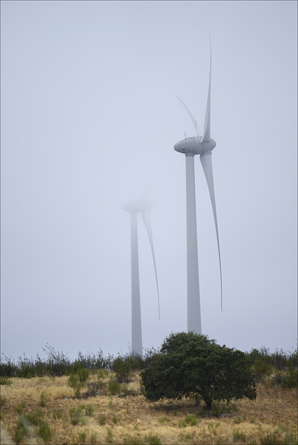 Penedos, Invaders in the mist