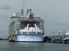 Harmony of the Seas at Southampton (2) - 19 May 2016