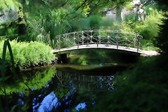 Le jardin romantique