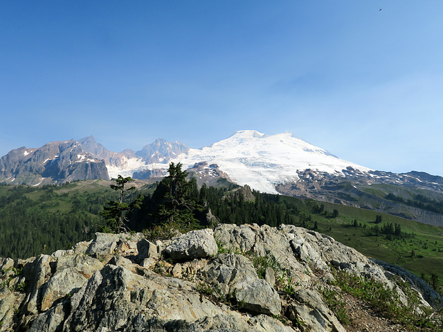 Mt. Baker