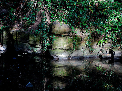 A Wall, light, dappled and shade.