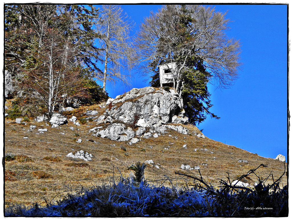 Hochsitz (2) für bk*