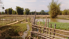 The mysterious plain of jars......