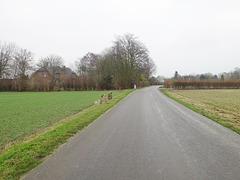strasse-07042 strasse-07042