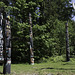 First Nations Totem Poles im Stanley Park ... P.i.P. (© Buelipix)