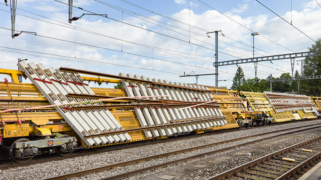 240802 Palezieux wagons porte branchement