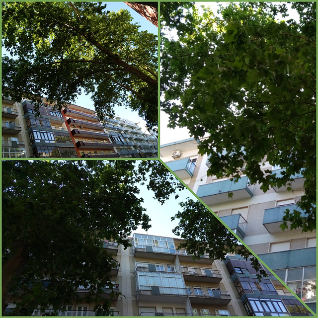 It's necessary to look up, without stumbling