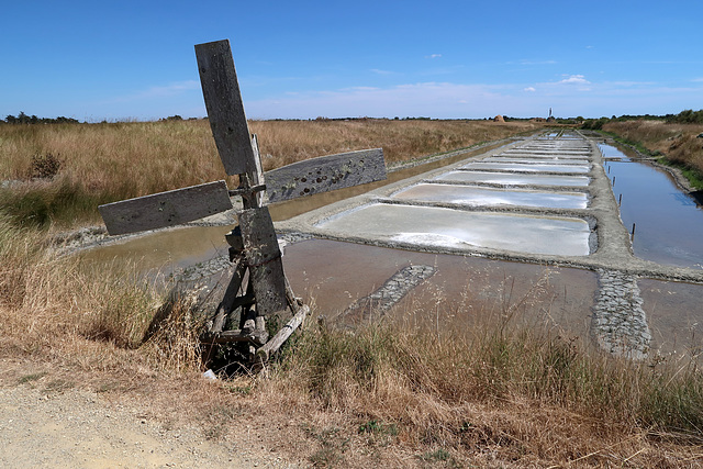 Salt pans