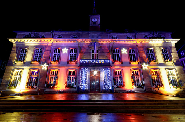 BELFORT: 2014.12.11 Les Lumières de Noël 11