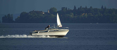 schnelle Lady vor der Mainau