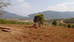 Plain of jars landscape