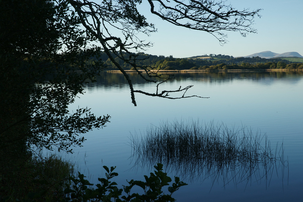 Loch Ken