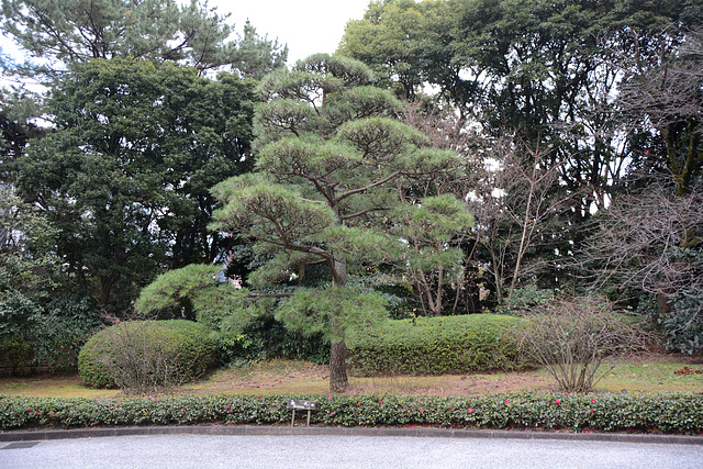 Tokyo, In the Garden of the Imperial Palace