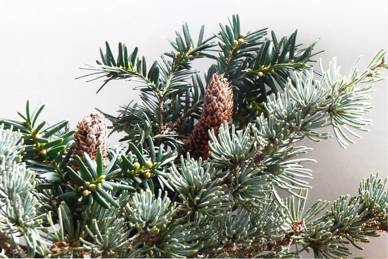 P1100218