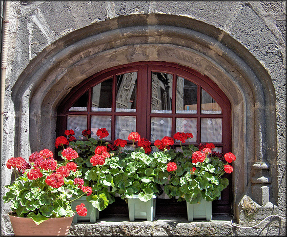 Besse-et-Saint-Anastaise (63) 2 juillet 2006.