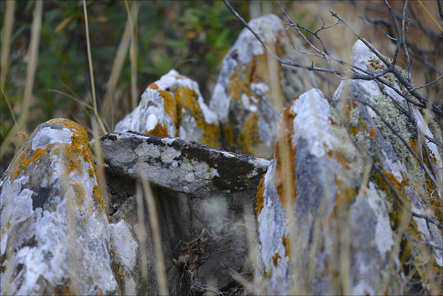 Penedos, Stones